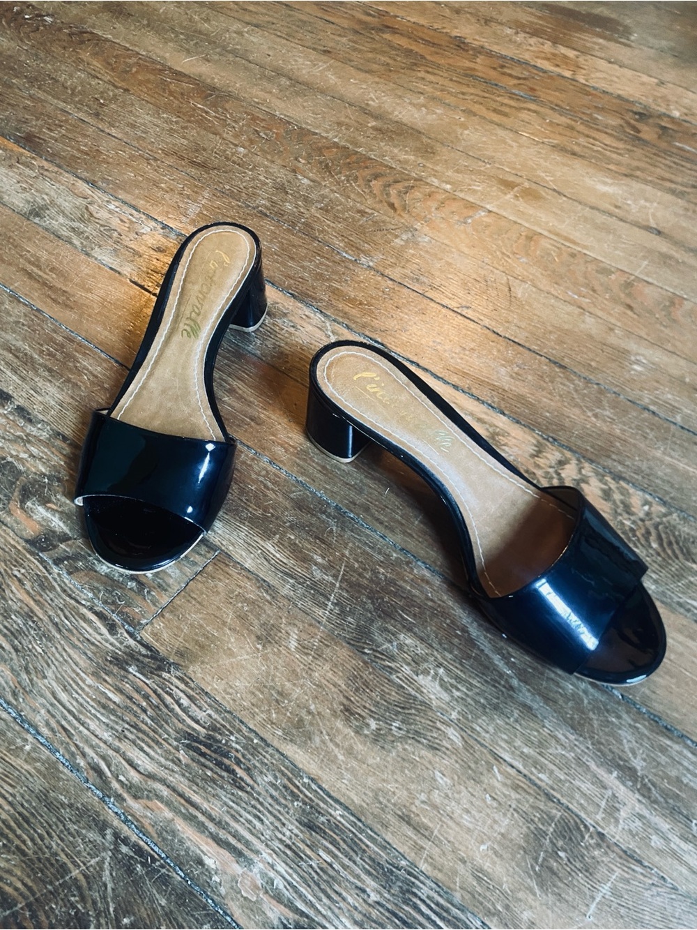 Pleaser Black Patent Open-Toe Slide Mules